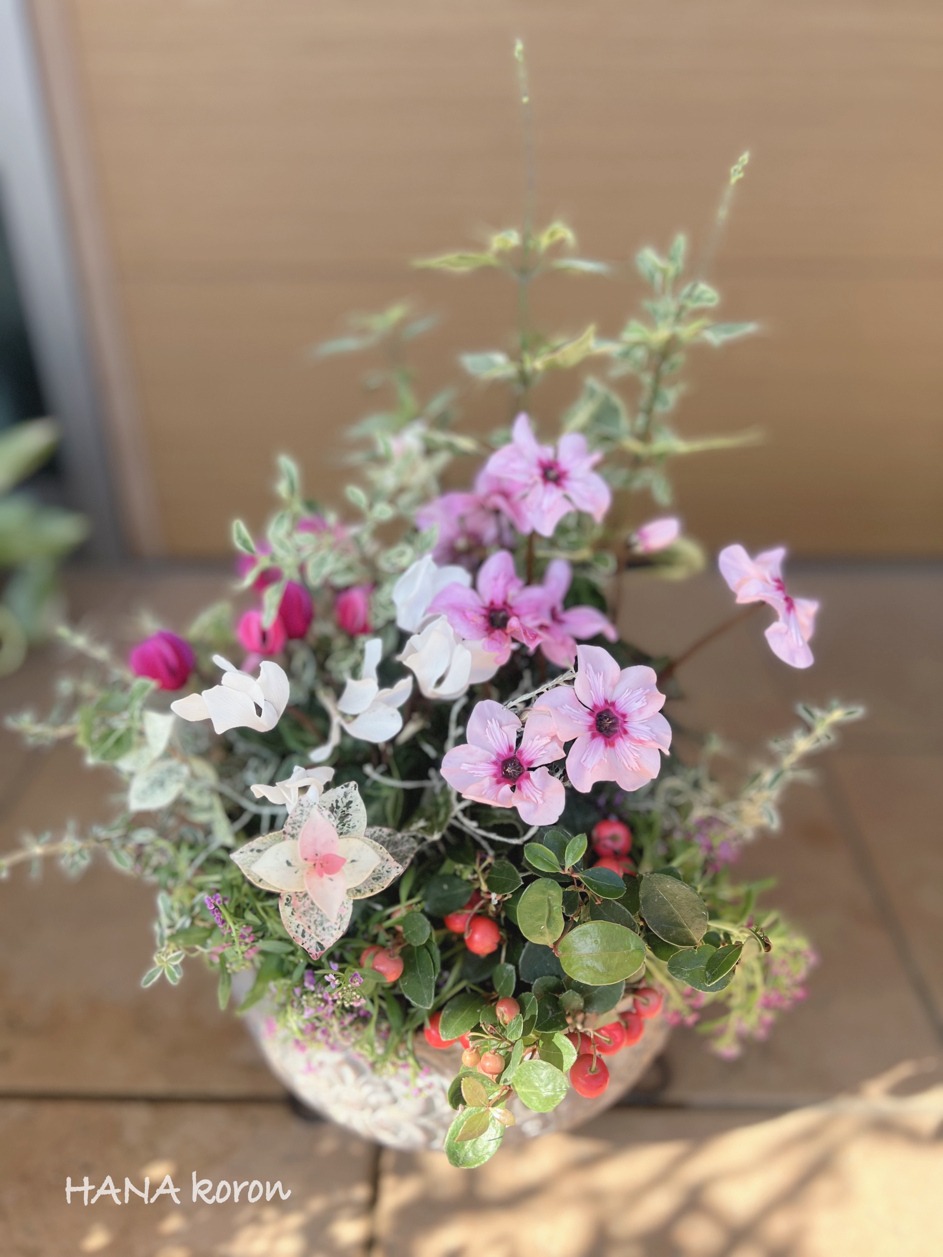 今人気の新しい寄せ植え 寄せ植えのギャザリング®レッスン
