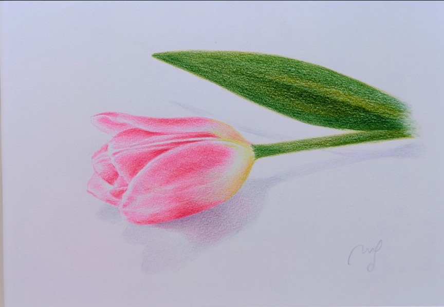 かわいいサイズのイラストが楽しい 小さな色鉛筆画