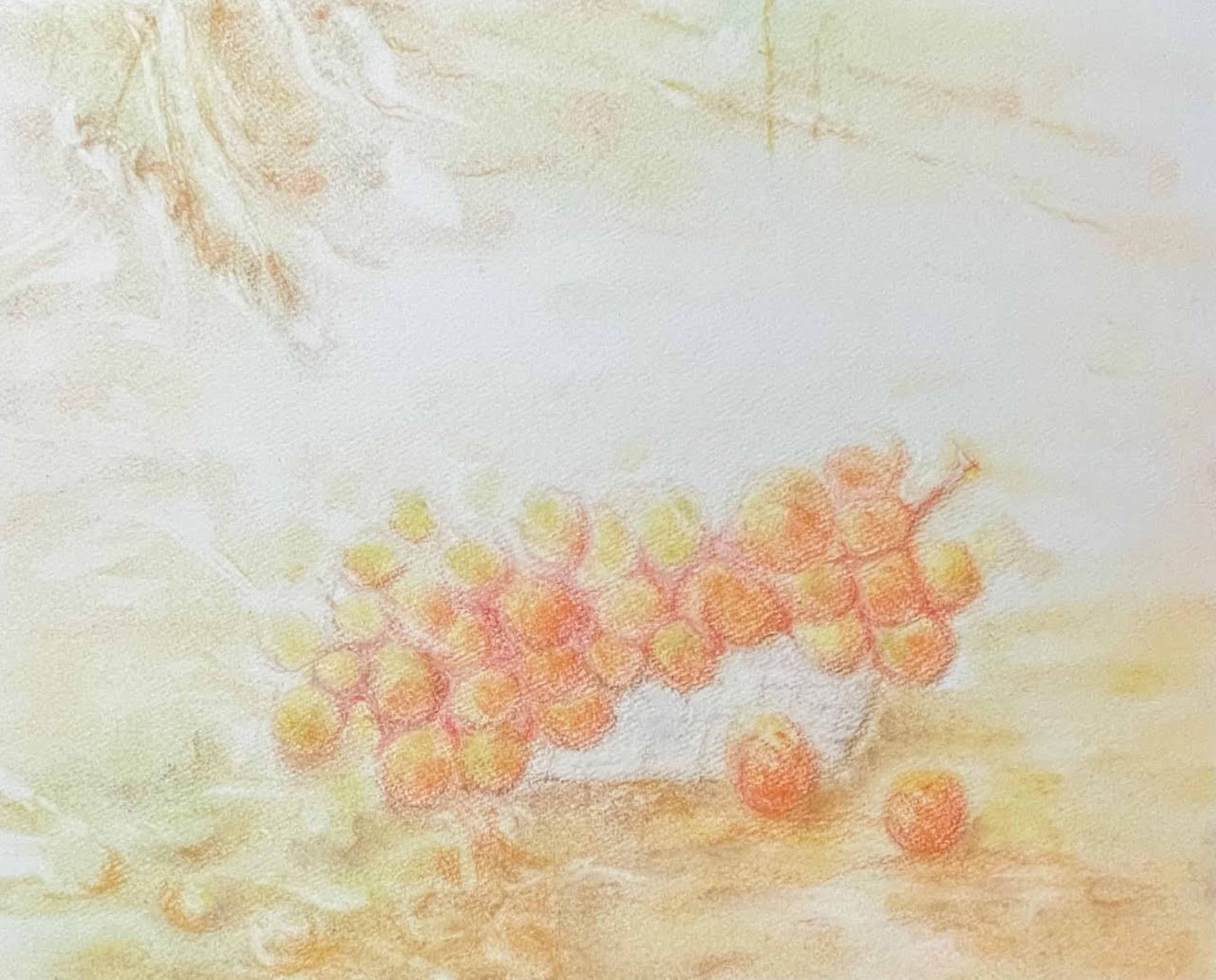 気軽に始めよう 色鉛筆で描く静物画