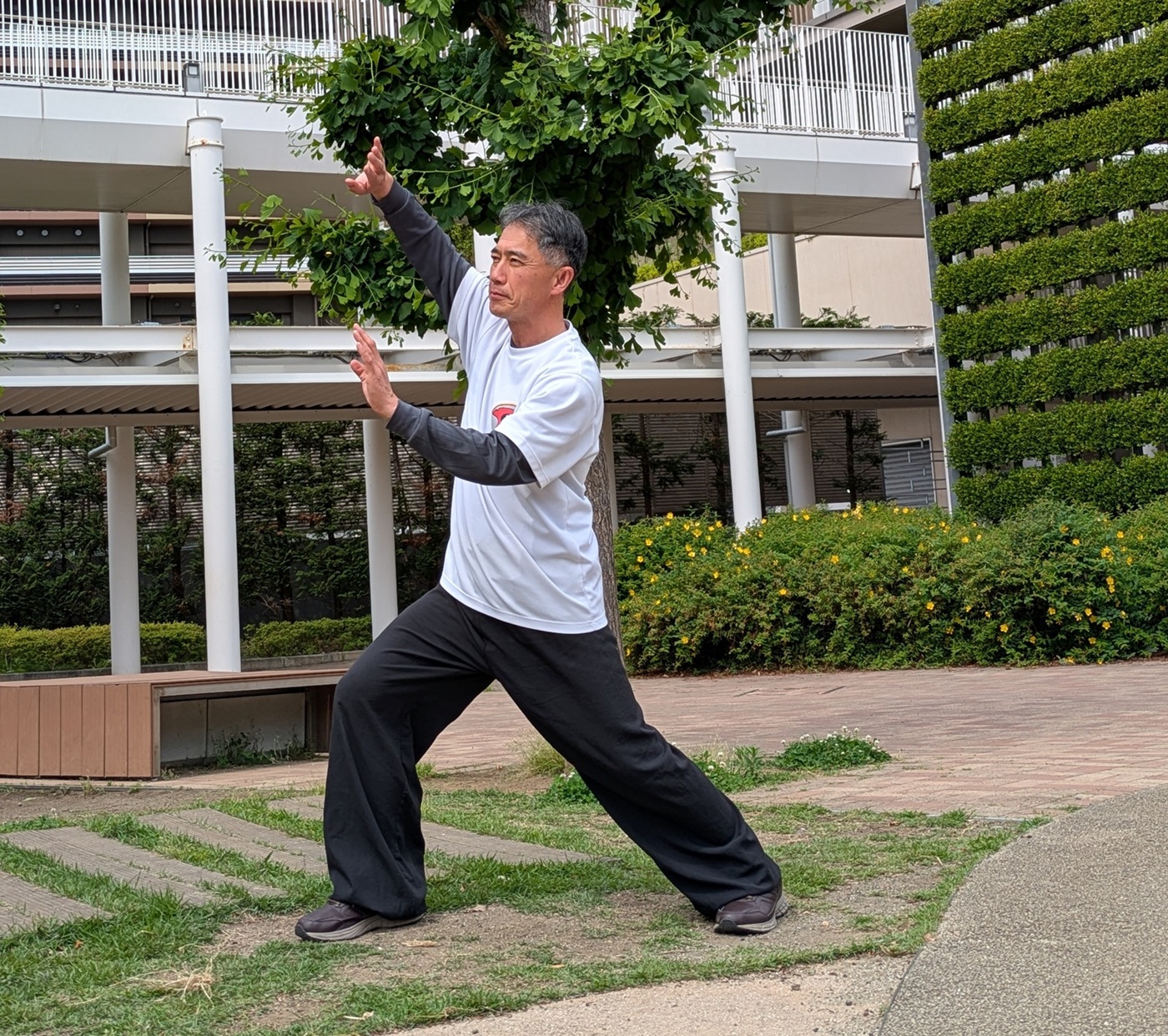 【新講座】青空の下で 朝の太極拳