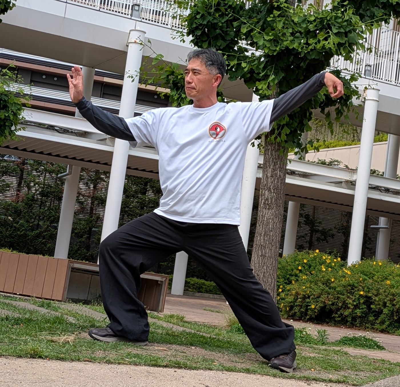 【新講座】青空の下で 朝の太極拳