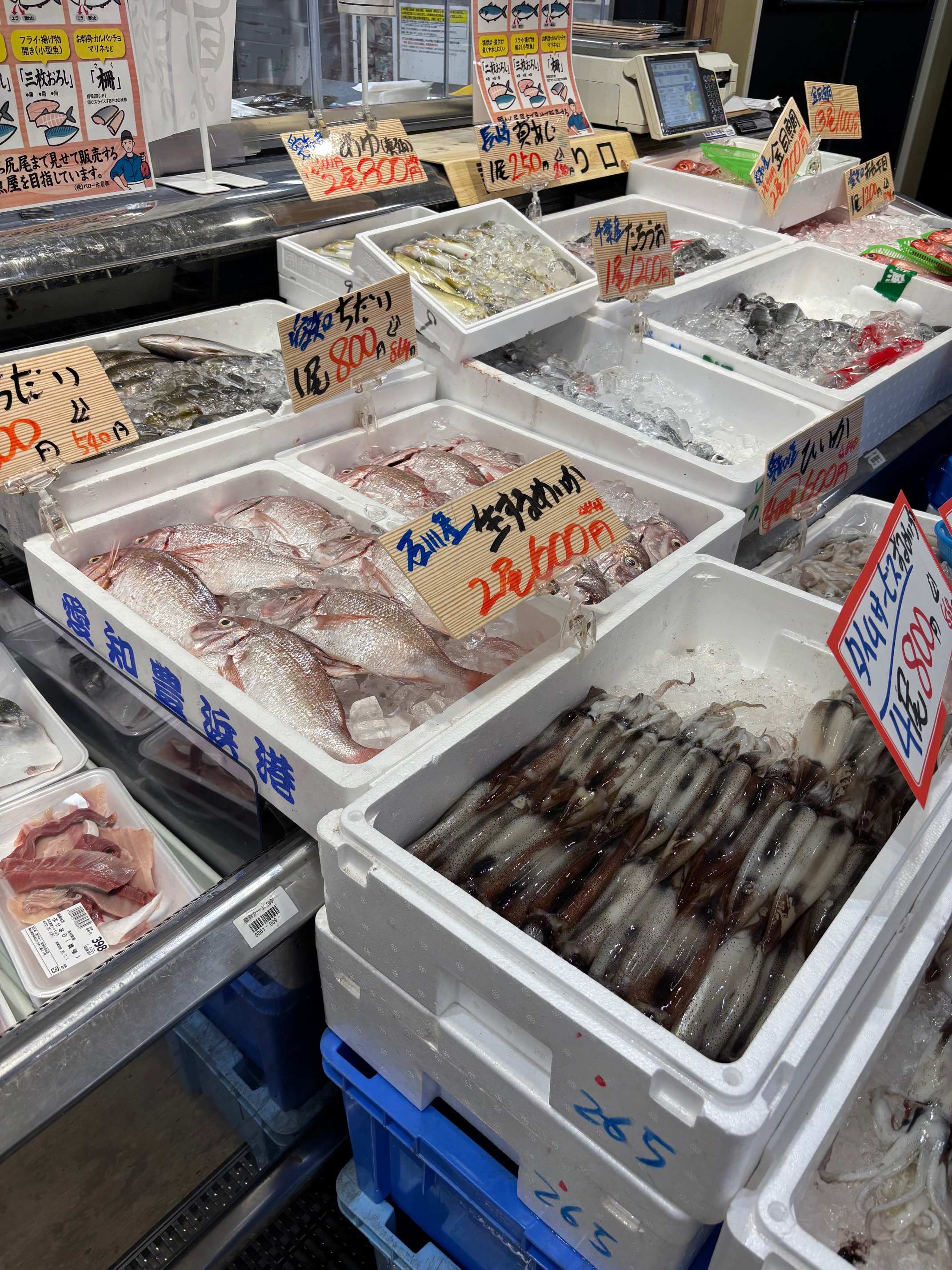 うまいっ!魚のさばき方(全3回)