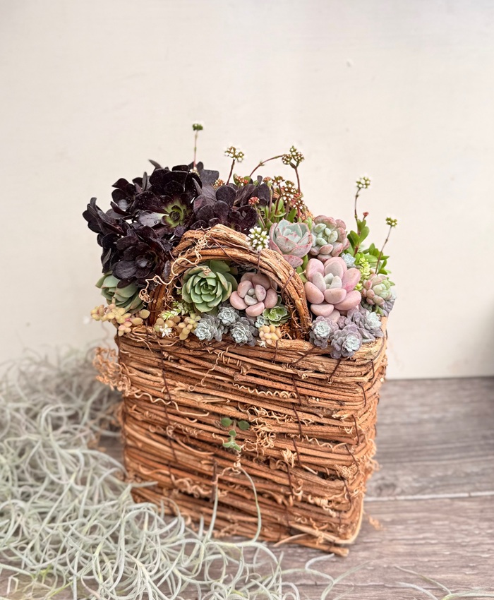 アレンジを楽しもう 季節の多肉寄せ植え入門(全9回) 秋の新講座 10/19(月)スタート