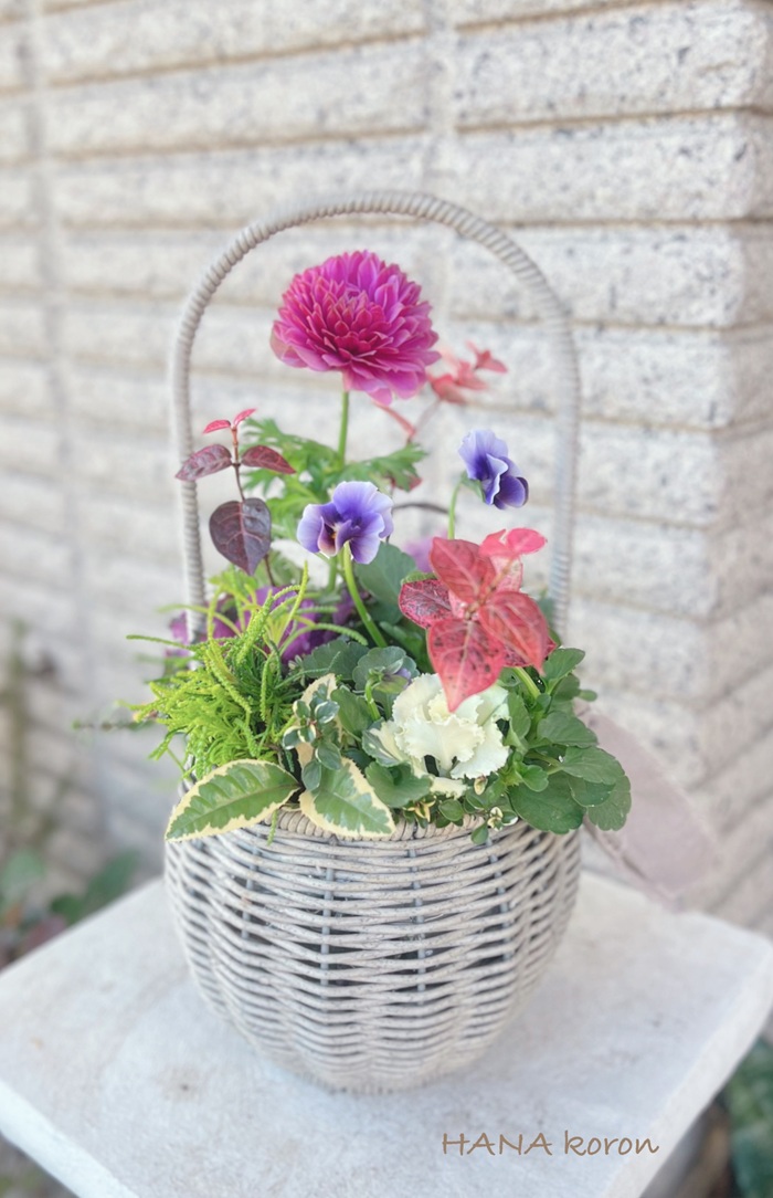 ★寄せ植えギャザリング 秋の新規生募集