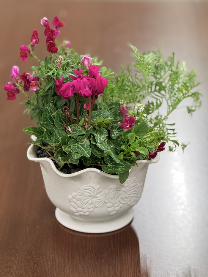 ポットに作る【全2回】 ★イングリッシュガーデン 秋の新講座