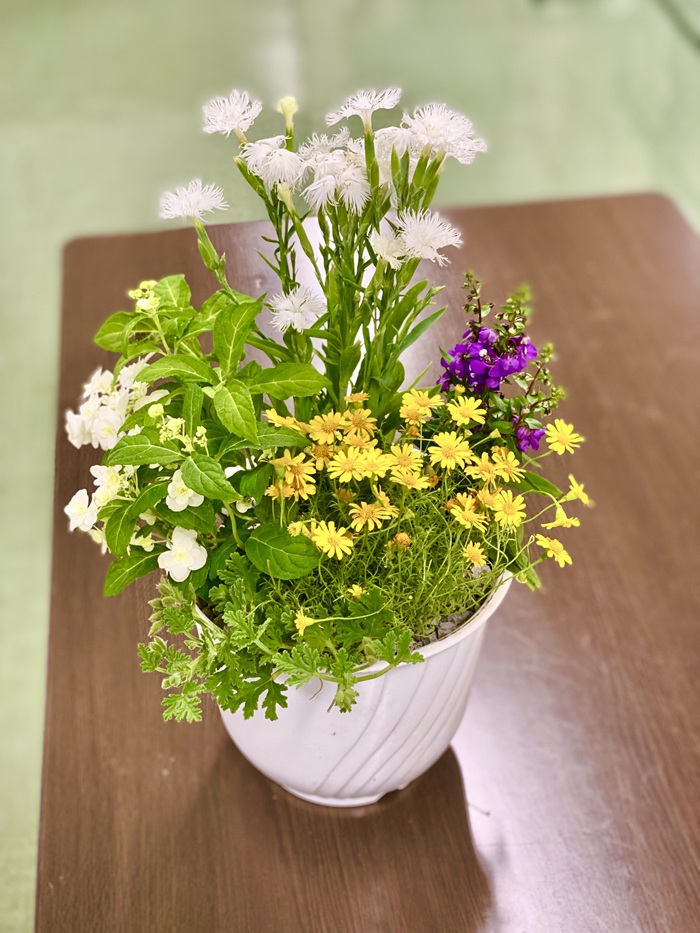 ポットに作る【全2回】 ★イングリッシュガーデン 秋の新講座