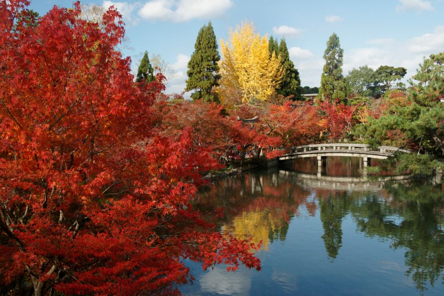 カメラの基本から楽しく学ぼう はじめての写真教室 秋の新講座 10/6(月)特別体験会