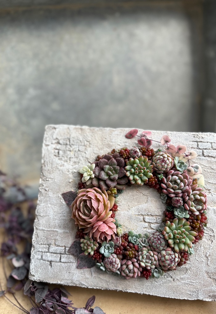 アレンジを楽しもう【全3回】 ★季節の多肉寄せ植え入門 秋の新講座 11/6(木)スタート