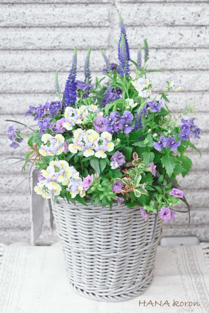 ★寄せ植えギャザリング