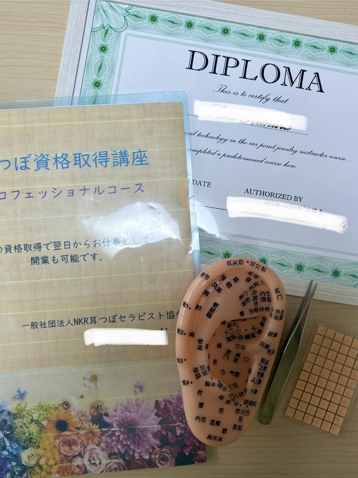 【1DAY】資格取得 耳つぼセラピスト認定講座