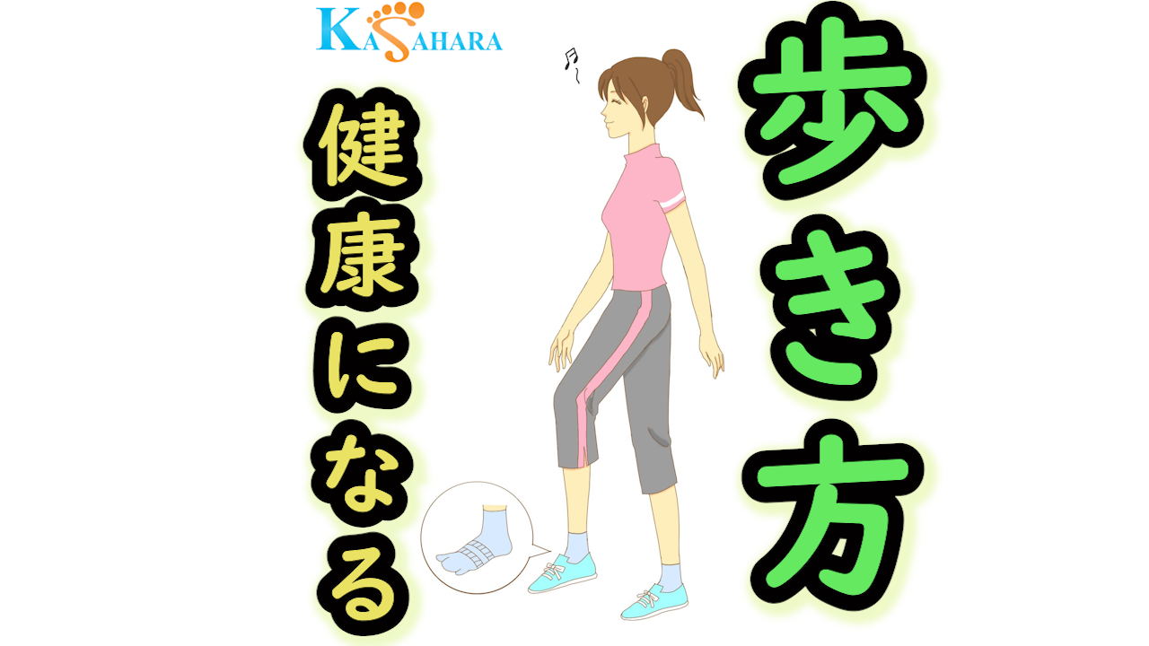 (全3回)足トラブルを改善 足・姿勢・歩行のセルフケア 【秋の新講座】10/16・11/20・12/18