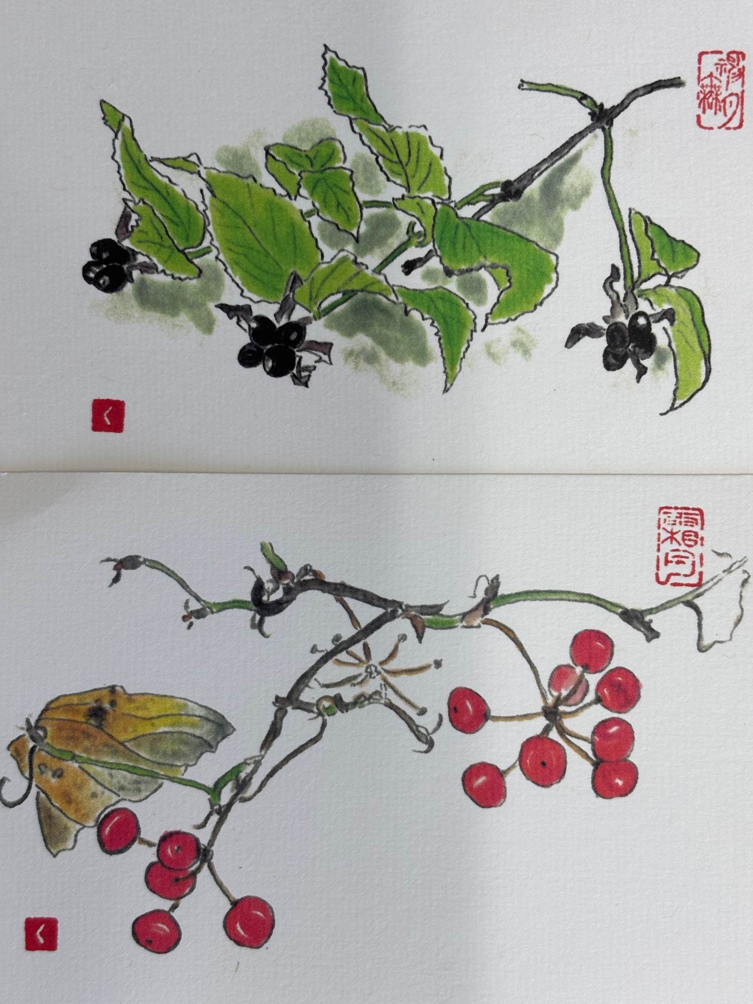 季節のはがき絵(全6回) 秋の新講座 10/10(金)よりスタート