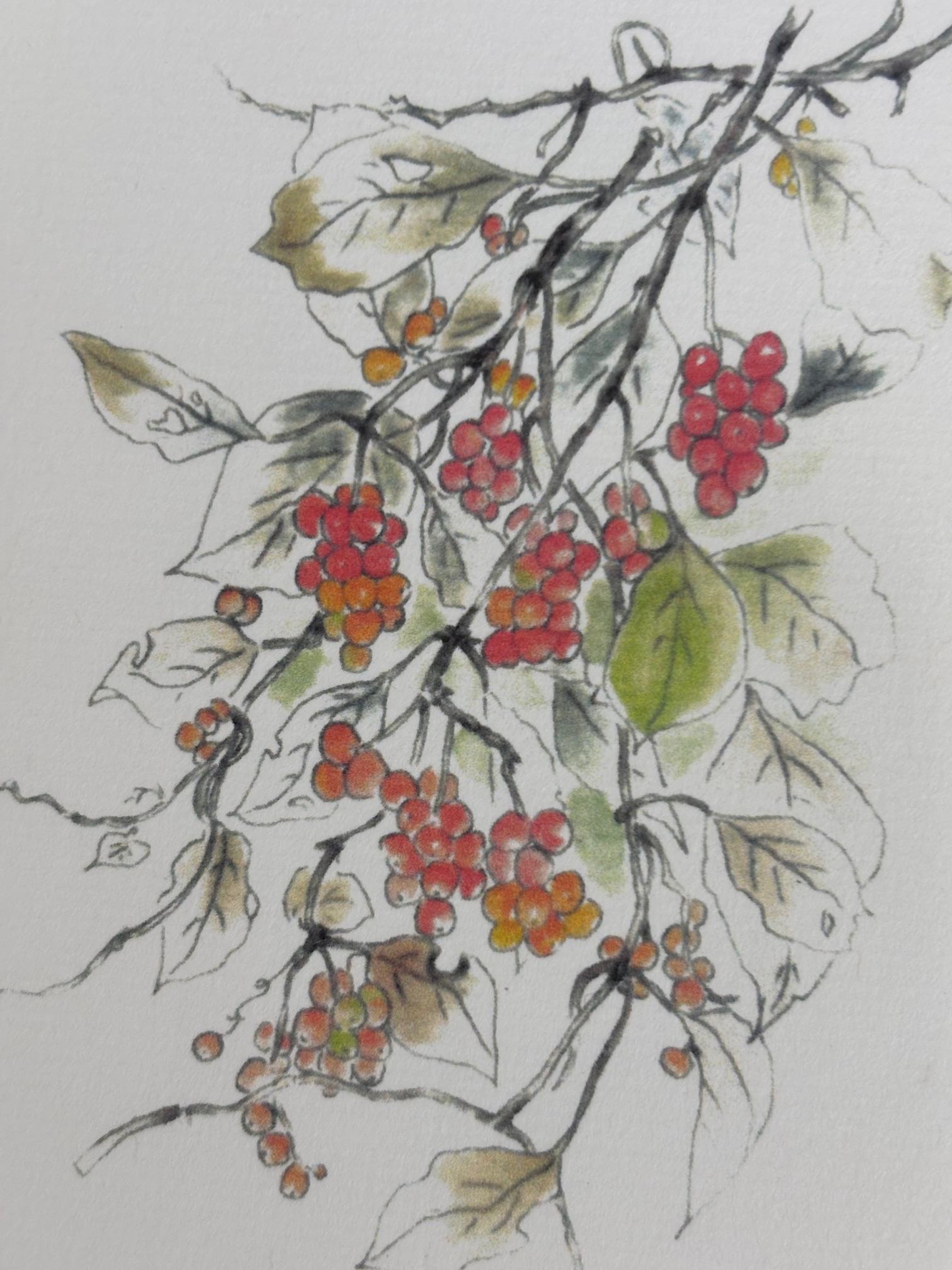 季節のはがき絵(全6回) 秋の新講座 10/10(金)よりスタート