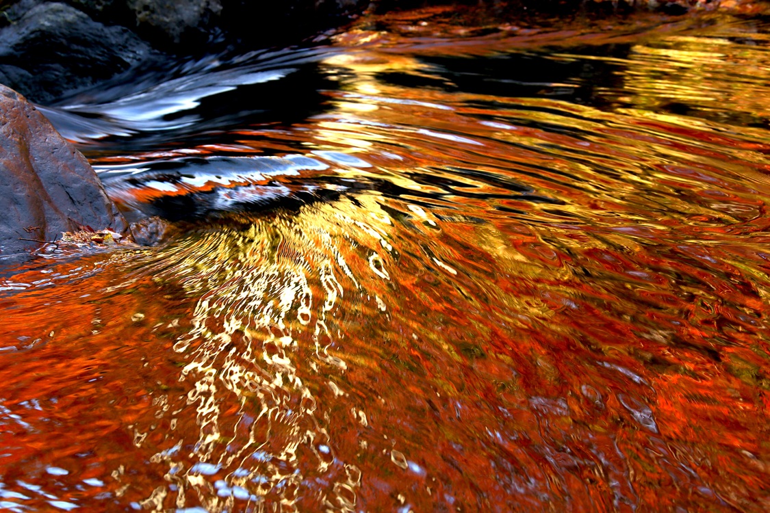 主役と脇役を学ぶ 写真教室