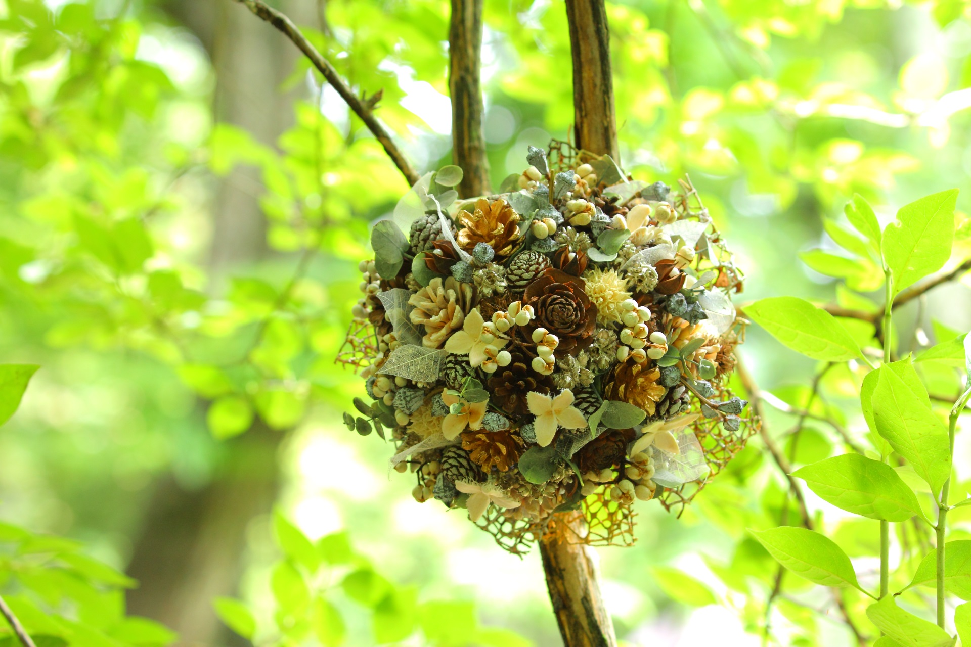 木の実を楽しむ日々 トロッケンクランツ®レギュラーコース 秋の新講座 11/20(木)特別体験会