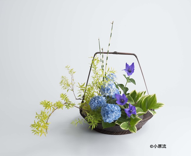 いけばな月2回 第1・3週 小原流