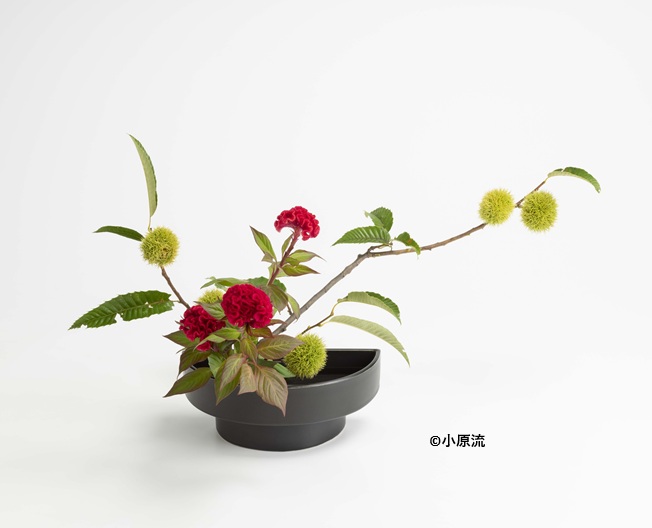 いけばな月2回 第1・3週 小原流