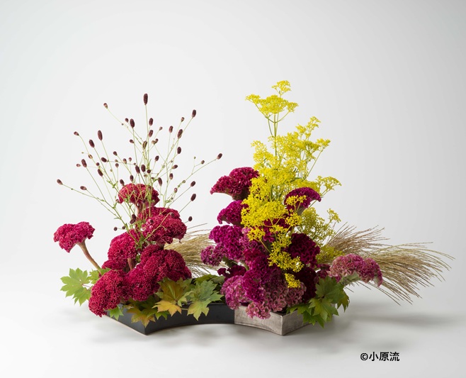 いけばな月2回 第1・3週 小原流