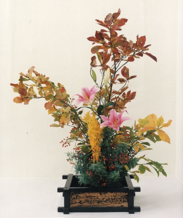 月2回 松陽古流