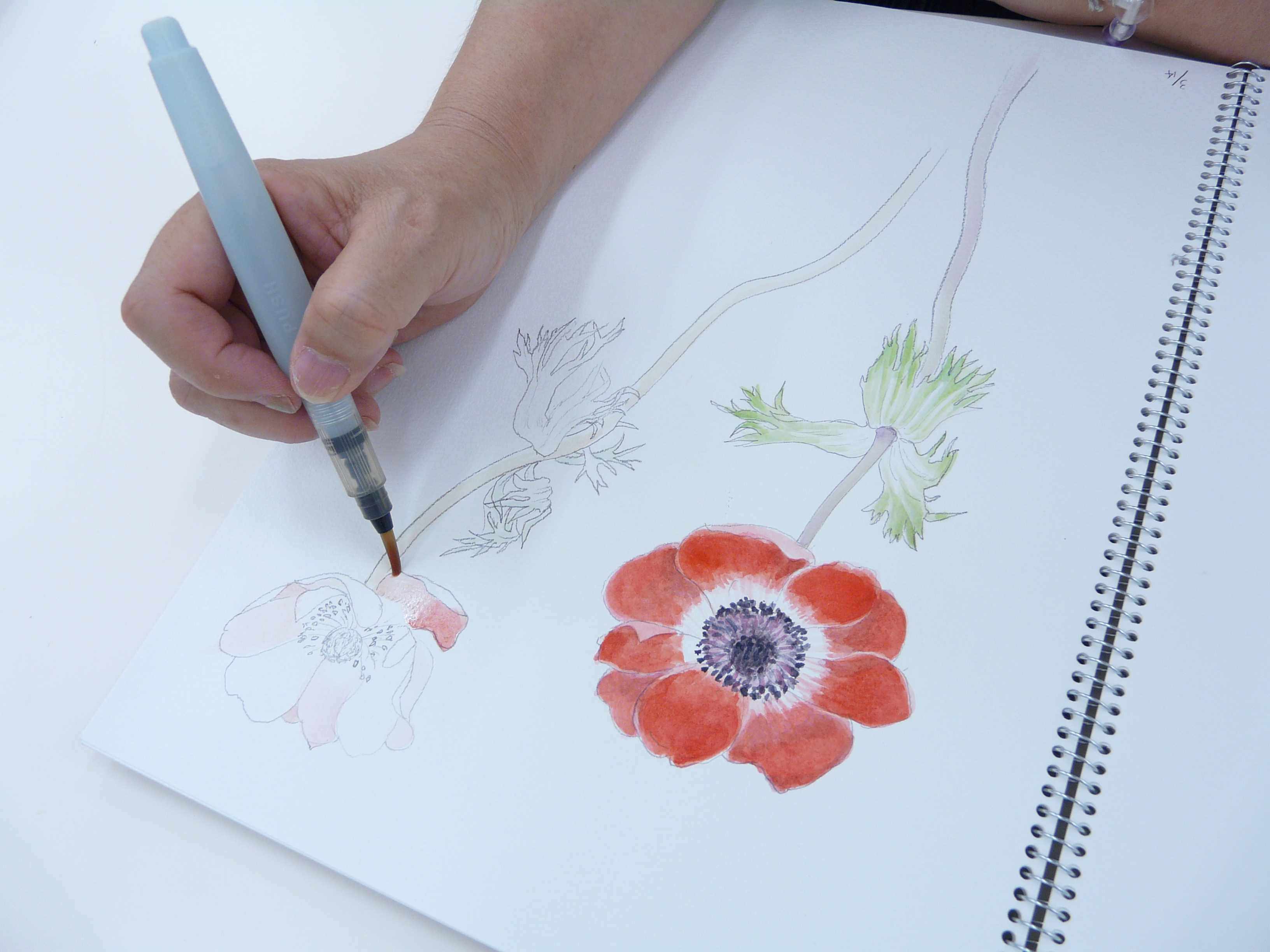 やさしいタッチの 淡彩スケッチ