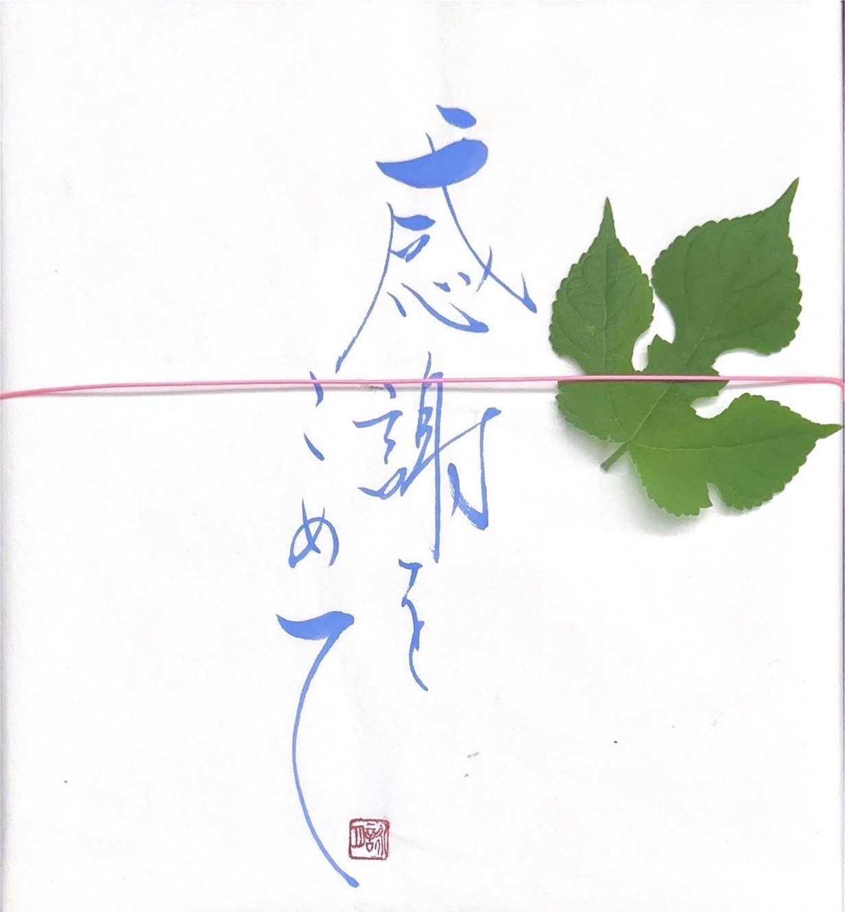 自分の字が魅力的に変わる 新やまと文字®
