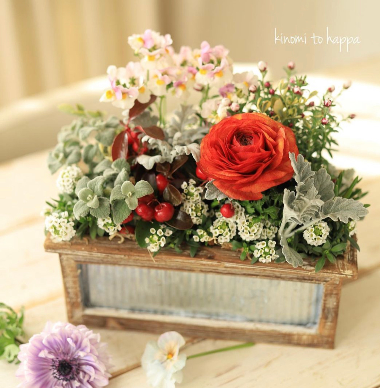 【新春新講座】根付きのフラワーアレンジメント 「ギャザリング寄せ植え」 1/20・2/17・3/17(火) 全3回