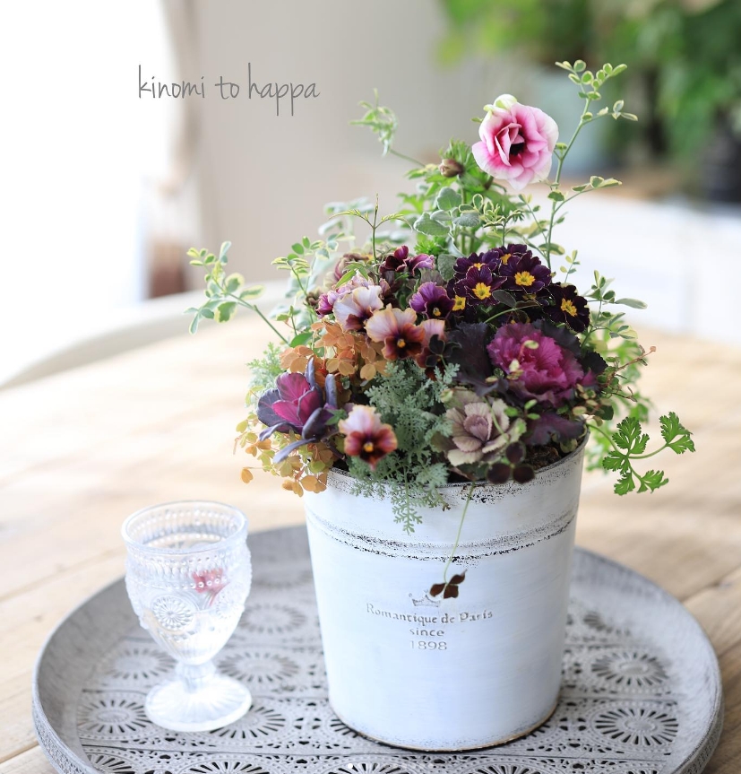 新春新講座】根付きのフラワーアレンジメント 「ギャザリング寄せ植え