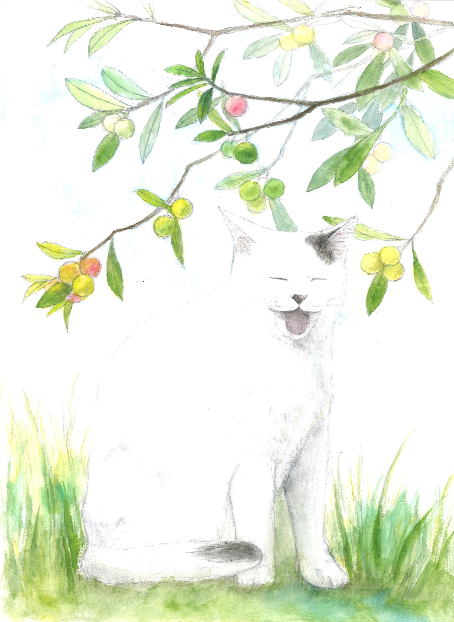 スケッチ水彩 (土) 広島の風景を描く