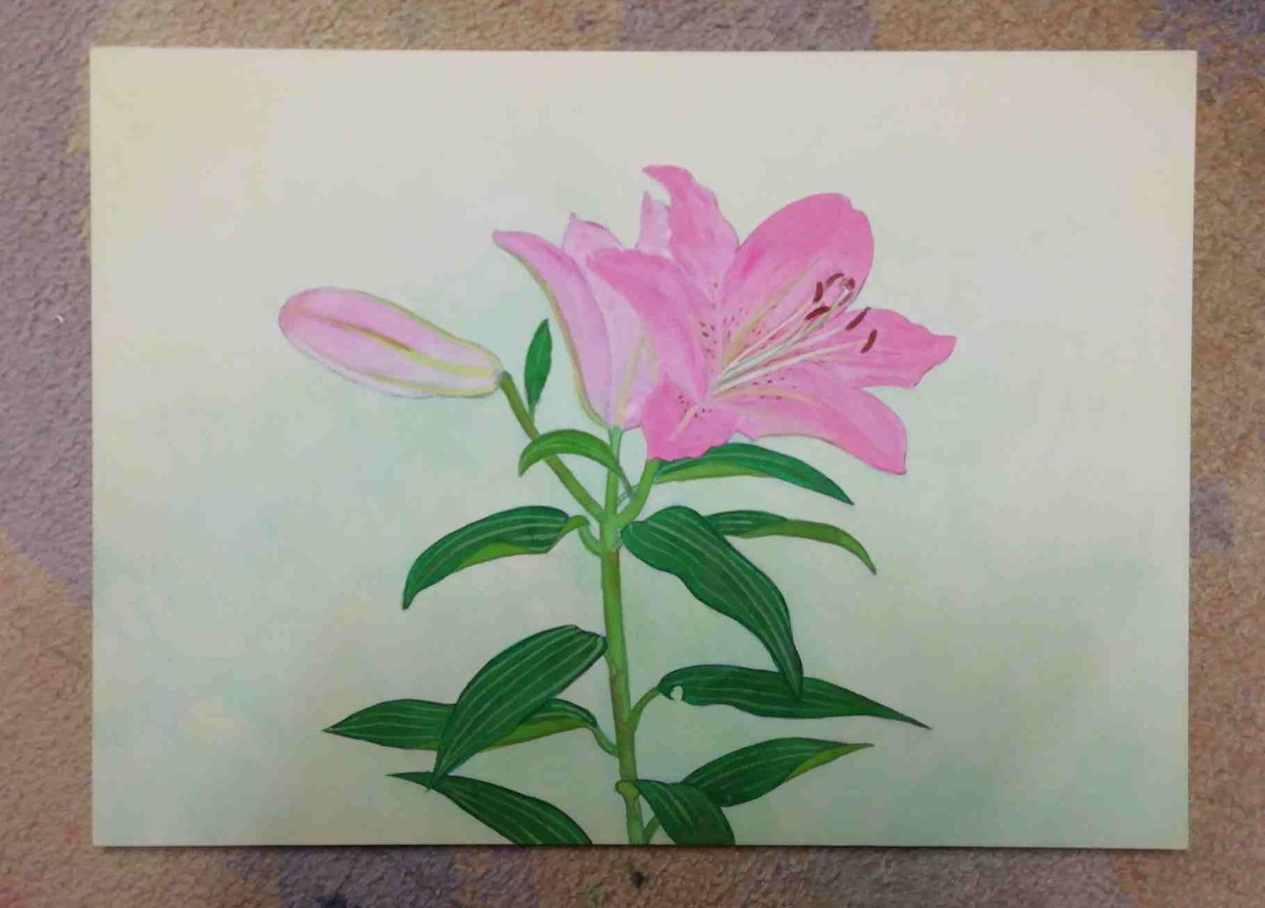 身近な植物から人物画まで はじめての日本画