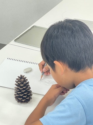 伸びやかに絵を描くことを楽しもう (金)子供の絵画教室 (6才～・小学生対象)