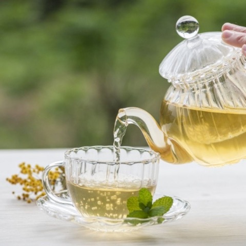 HP限定☆1/10 特別体験会 身近な17種のハーブ活用術を学ぶ