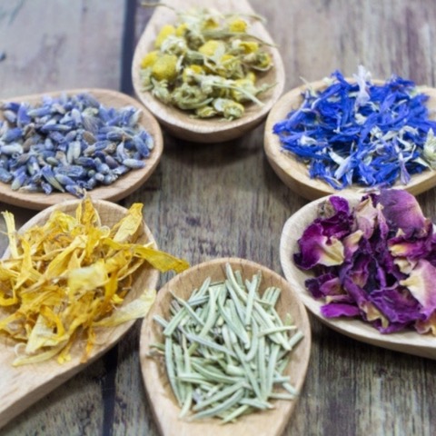 HP限定☆1/10 特別体験会 身近な17種のハーブ活用術を学ぶ