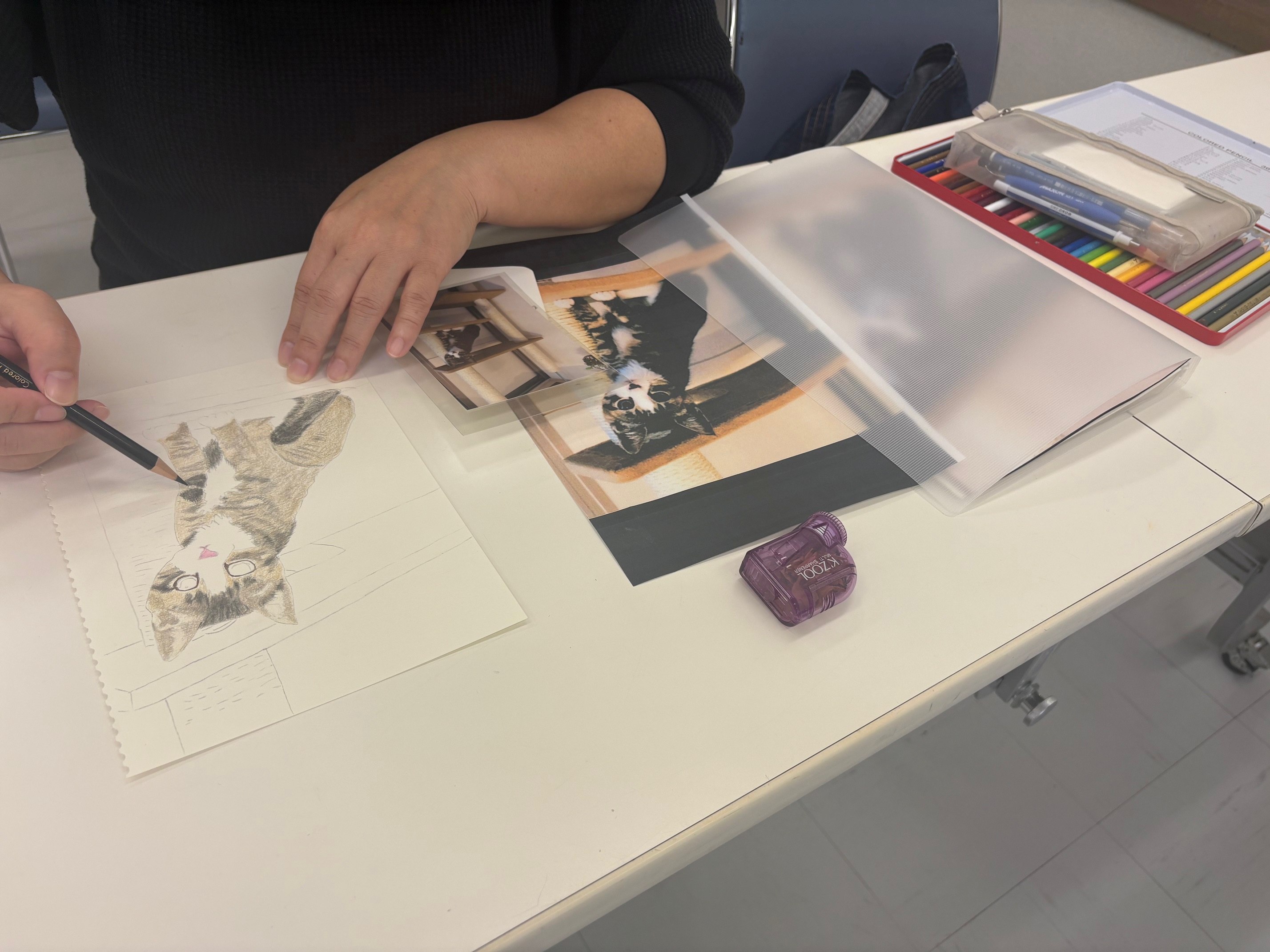 好きな動物をリアルに描いてみよう 色鉛筆で描く動物たち