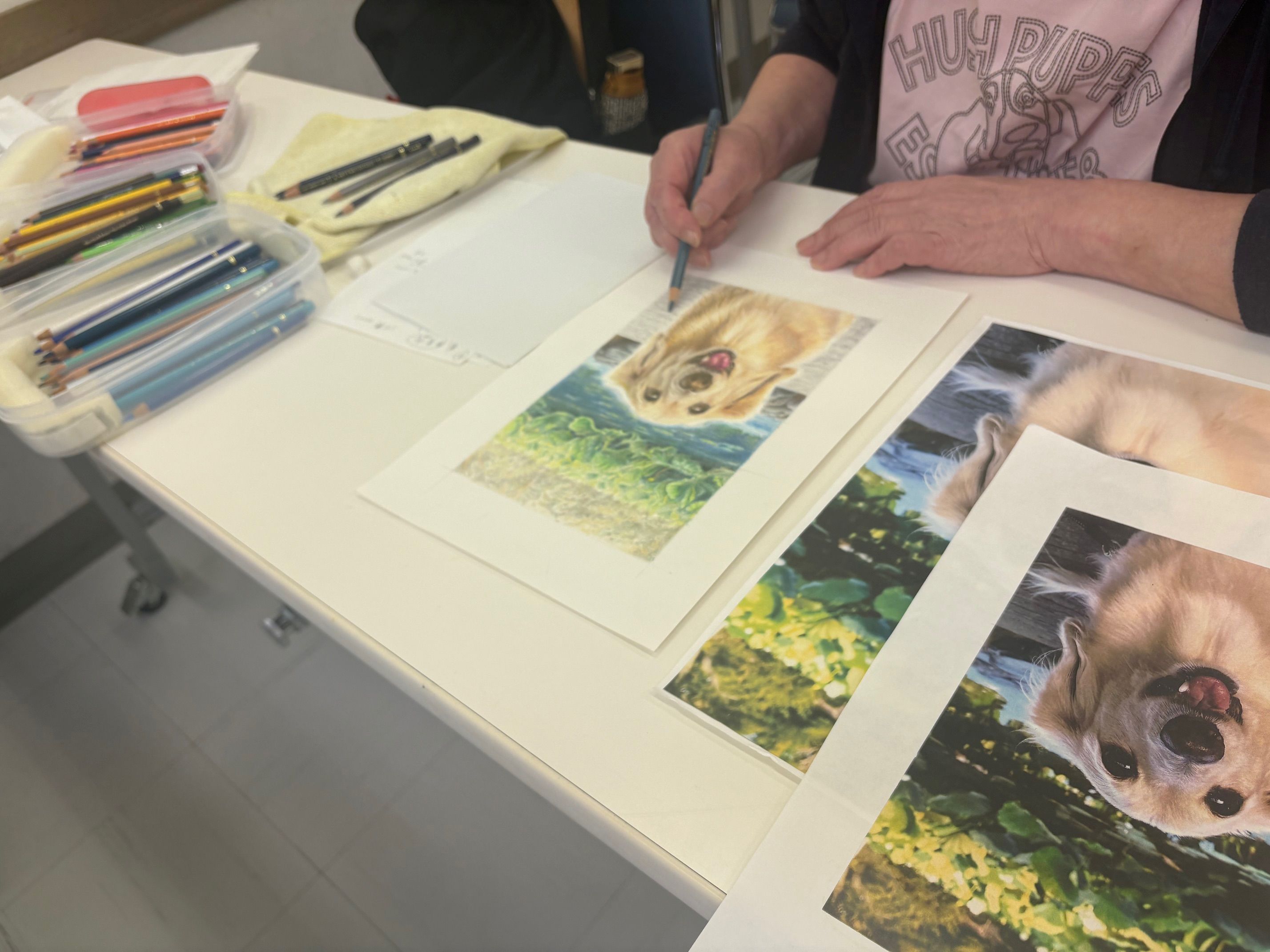 好きな動物をリアルに描いてみよう 色鉛筆で描く動物たち