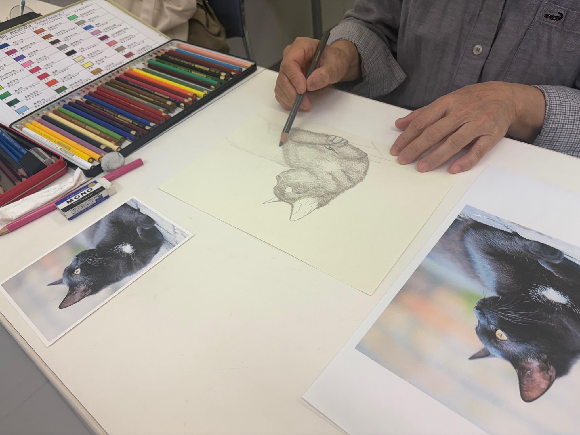 好きな動物をリアルに描いてみよう 色鉛筆で描く動物たち