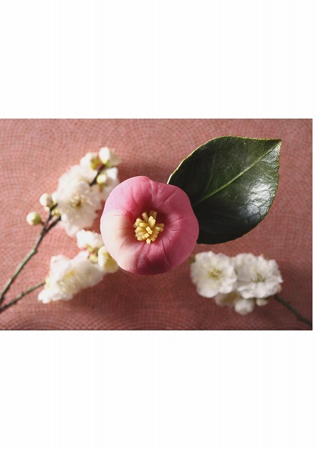 電子レンジで簡単! 季節の練り切り和菓子(全3回) 2/6(土)スタート