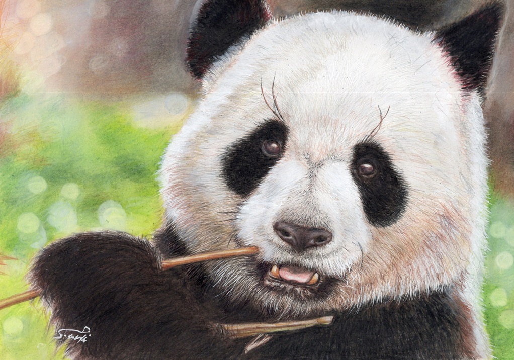 <全6回>リアルを追求 色鉛筆画