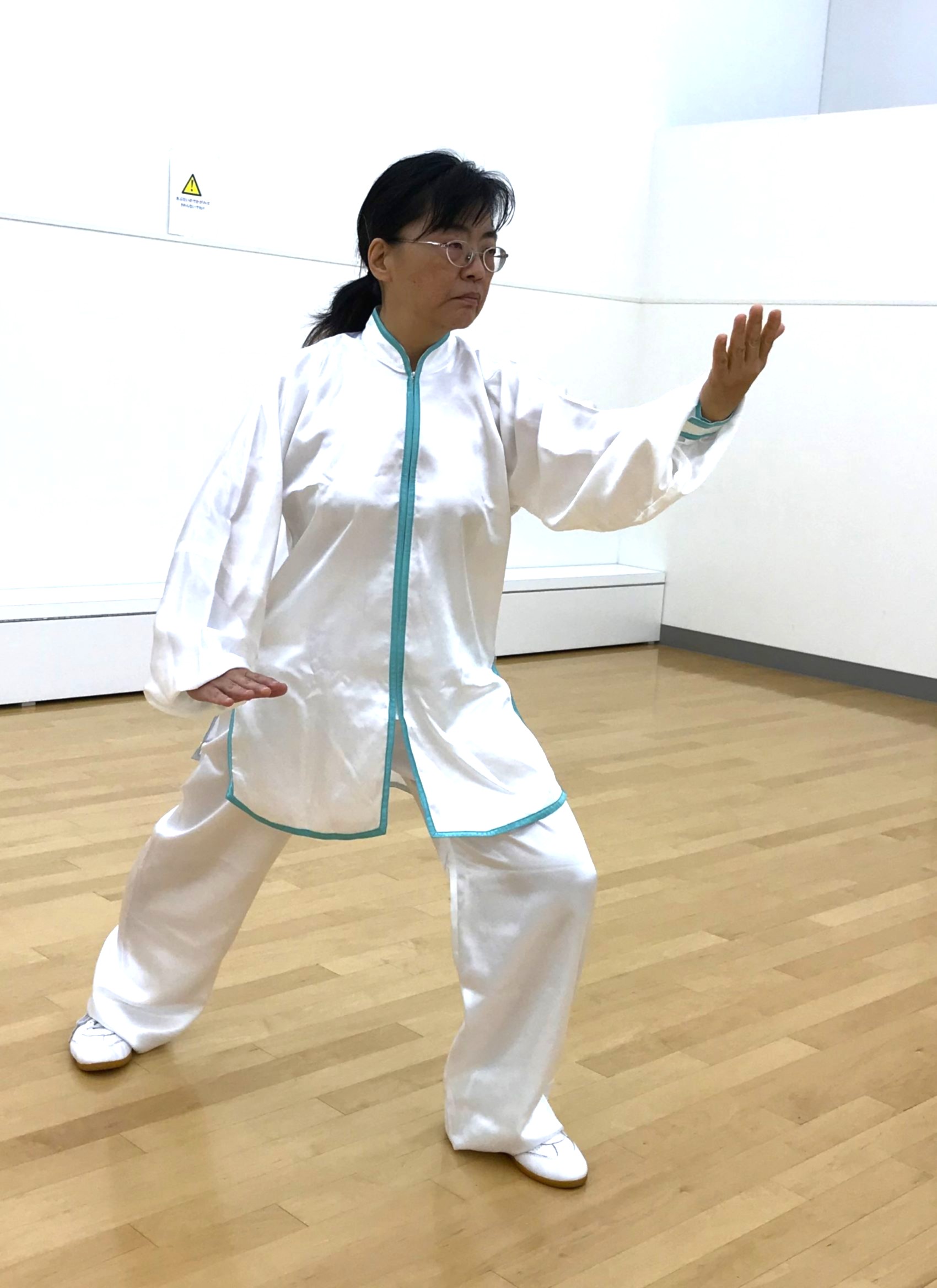 48式 武術太極拳