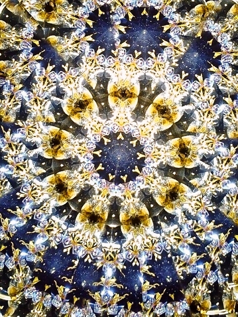 美しい模様の万華鏡 11/30