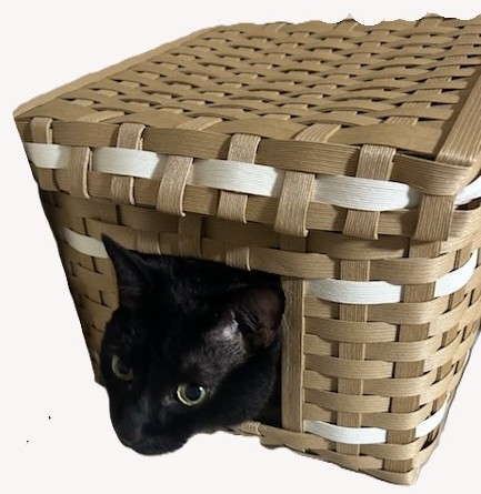 (全3回)ねこちぐら HP限定冬の新講座 11/21・12/19・2026年1/16(金)