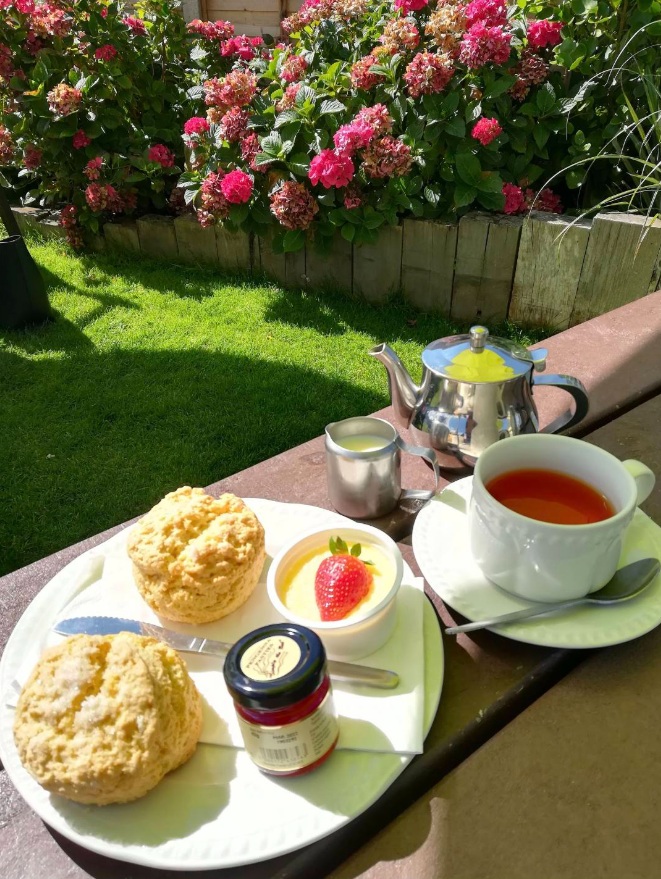 毎日の一杯が格段に美味しくなる 春の紅茶講座 日程2/15・3/15・4/19(日)