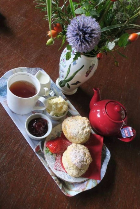 毎日の一杯が格段に美味しくなる 春の紅茶講座 日程2/15・3/15・4/19(日)