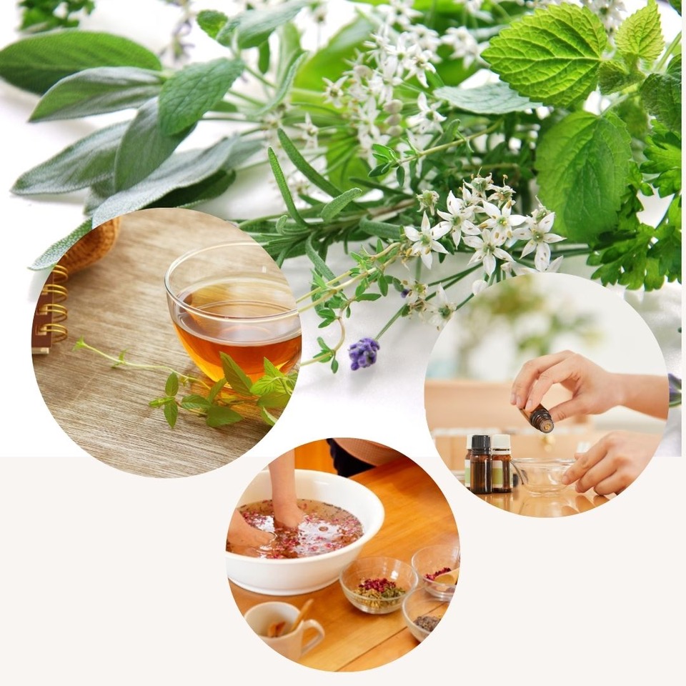 HP限定☆1DAYスペシャル講座 12/7 1DAY フィトセラピーベーシック講座 登録事務手数料不要