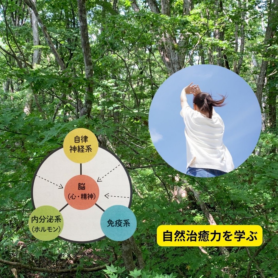 HP限定☆1DAYスペシャル講座 12/7 1DAY フィトセラピーベーシック講座 登録事務手数料不要