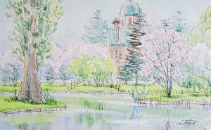 水彩・パステル・色鉛筆・デッサン 木曜の絵画教室