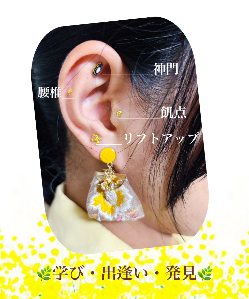 即日資格取得・キラキラかわいい 耳つぼセラピスト講座(土) HP限定企画講座