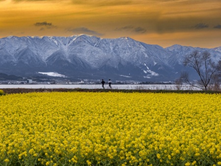 (水)写真教室 新春号おすすめ講座 一日体験会開催
