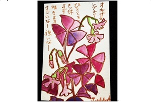 へたでいい へたがいい 絵手紙 (月2回)
