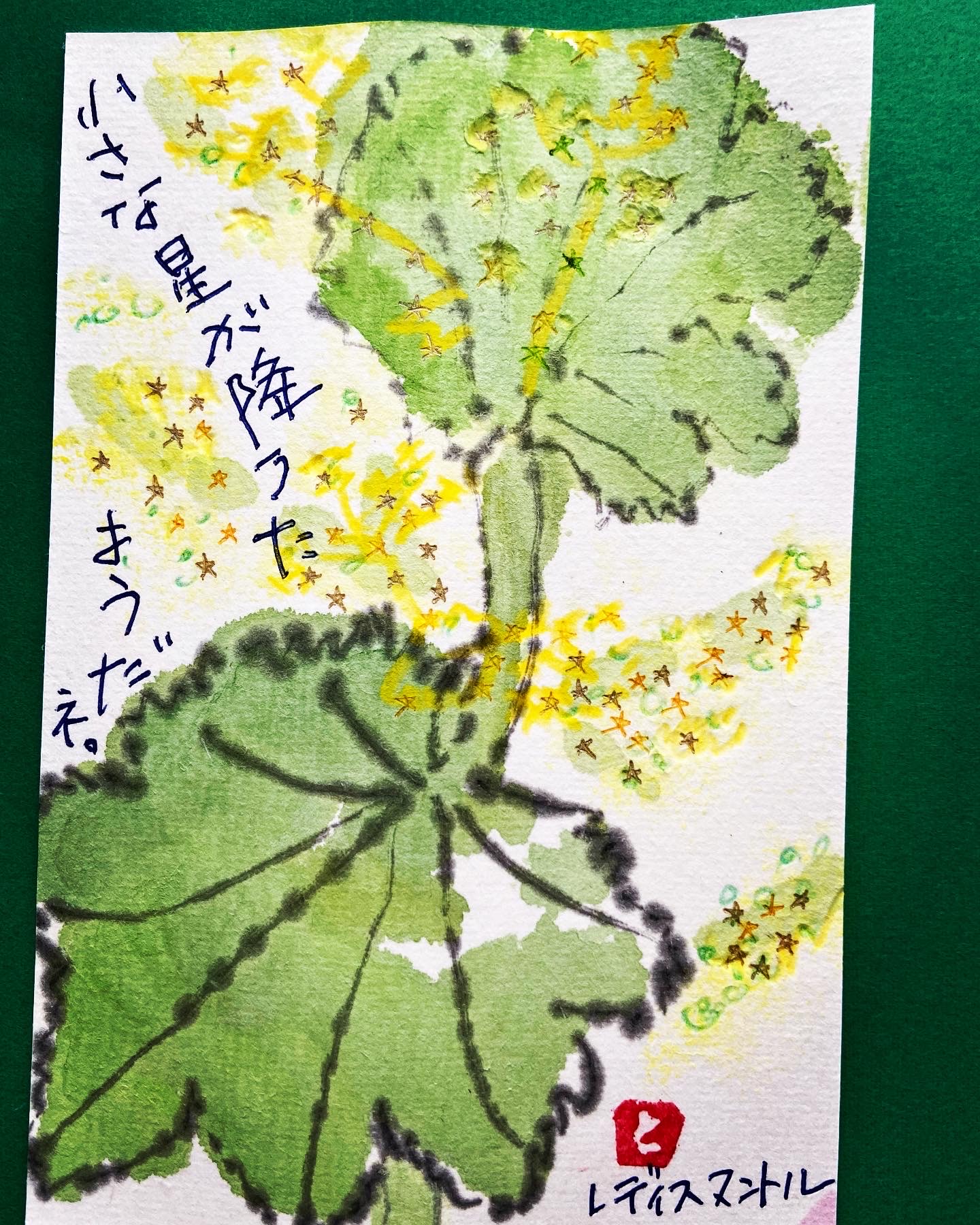 ヘタでいい。ヘタがいい 絵手紙教室 (月1回)