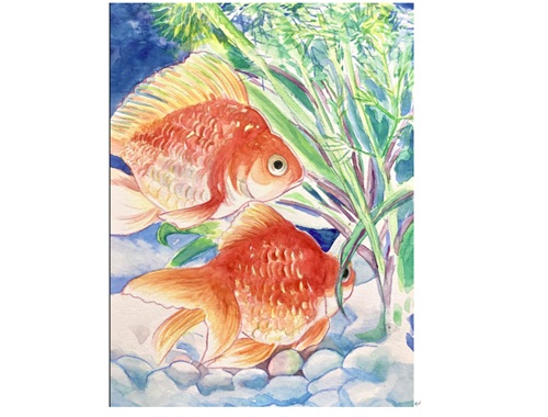 色えんぴつで描く いろどり彩色画 春の新講座 4/10(金)スタート予定